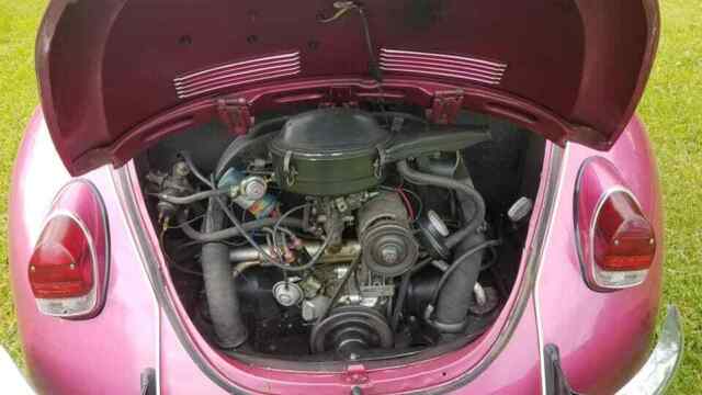 1969 Volkswagen Beetle - Classic CONVERTIBLE - photo 5