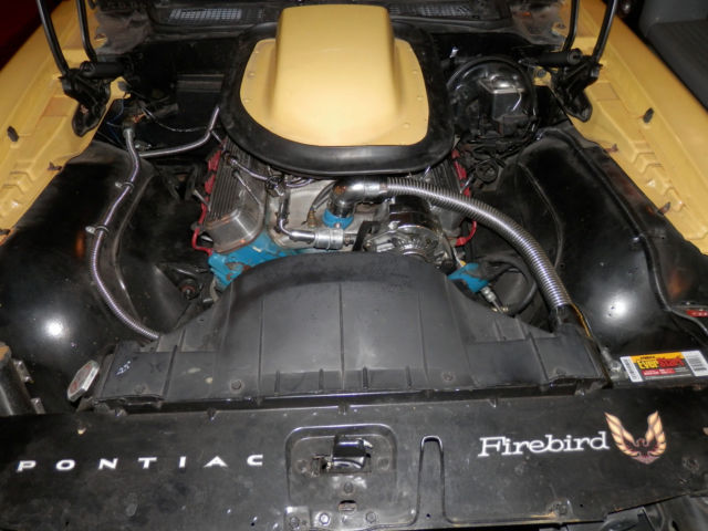 1970 Pontiac Firebird TRANS AM TRIBUTE - photo 10
