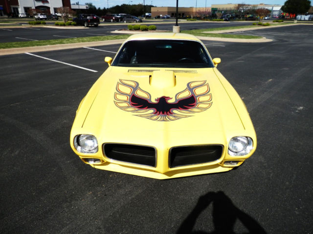1970 Pontiac Firebird TRANS AM TRIBUTE - photo 3