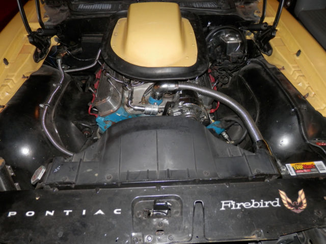 1970 Pontiac Firebird TRANS AM - photo 4