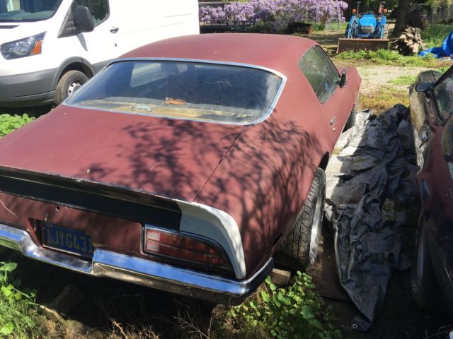 1971 Pontiac Firebird - photo 3