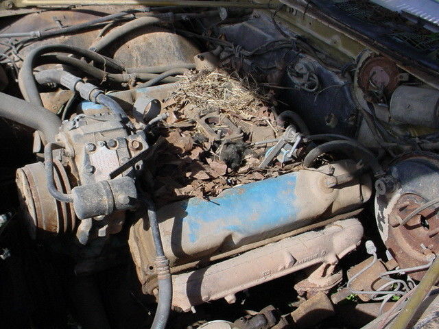 1971 Plymouth Fury - photo 5