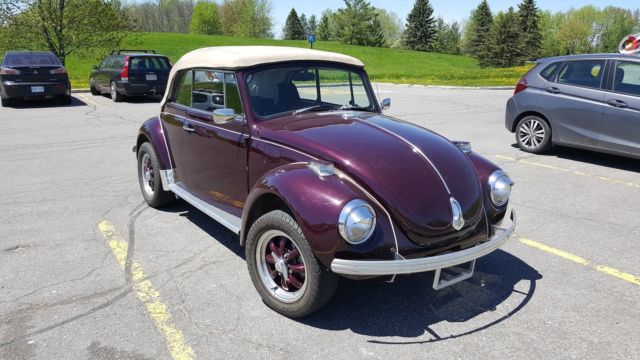 1971 Volkswagen Beetle - Classic FRAME-OFF RESTO - photo 3