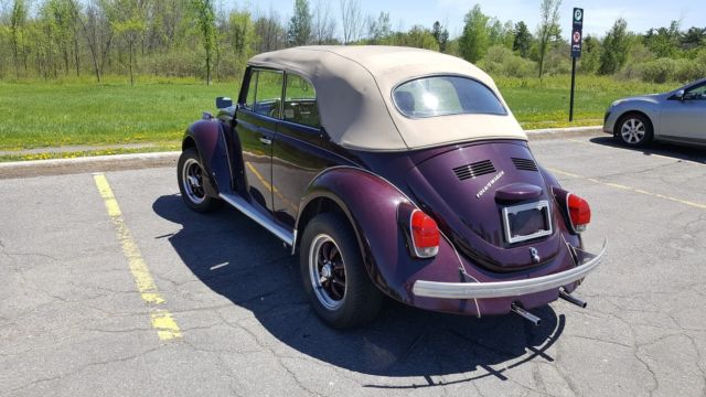 1971 Volkswagen Beetle - Classic FRAME-OFF RESTO - photo 4