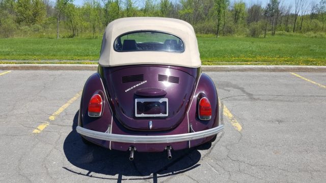 1971 Volkswagen Beetle - Classic FRAME-OFF RESTO - photo 5