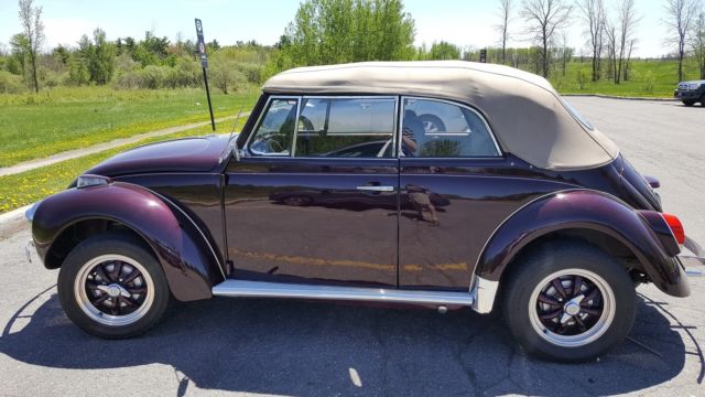 1971 Volkswagen Beetle - Classic FRAME-OFF RESTO - photo 9