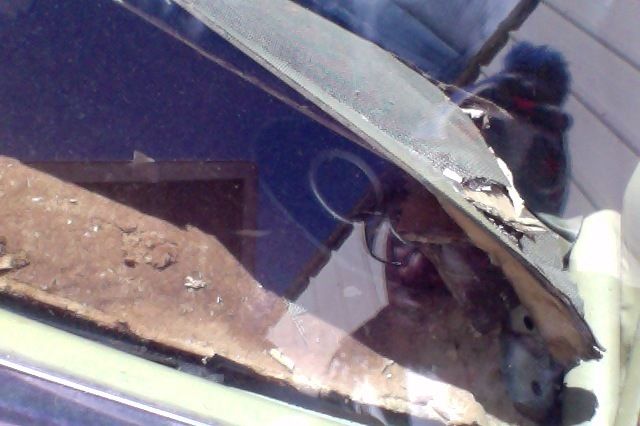 1972 Cadillac Other - photo 10
