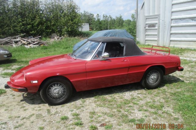 1973 Alfa Romeo Spider VELOCE - photo 2