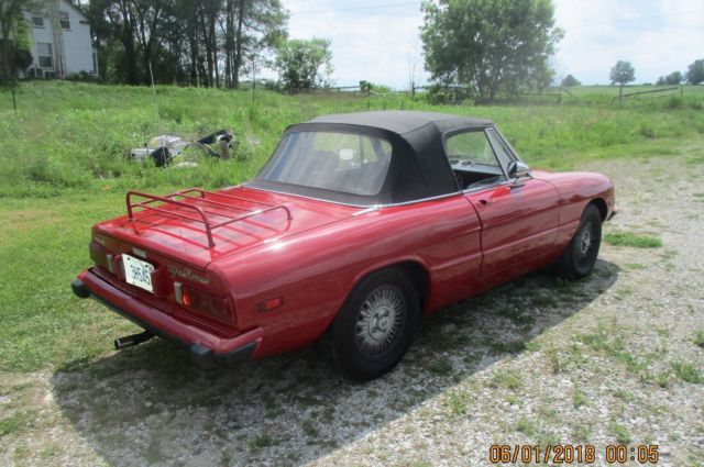 1973 Alfa Romeo Spider VELOCE - photo 3