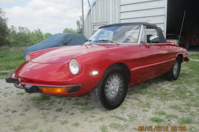 1973 Alfa Romeo Spider VELOCE - photo 5