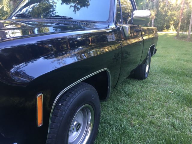 1973 Chevrolet C-10 - photo 2