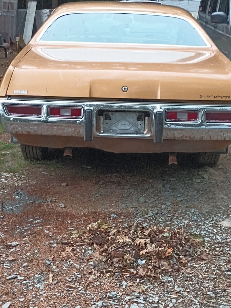 1973 Plymouth Satellite - photo 6