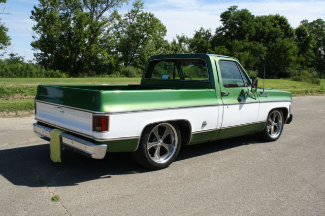 1974 Chevrolet C-10 Custom Deluxe - photo 10