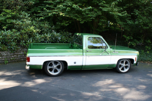 1974 Chevrolet C-10 Custom Deluxe - photo 4