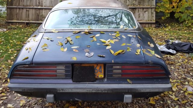 1974 Pontiac Firebird Espirit - photo 5