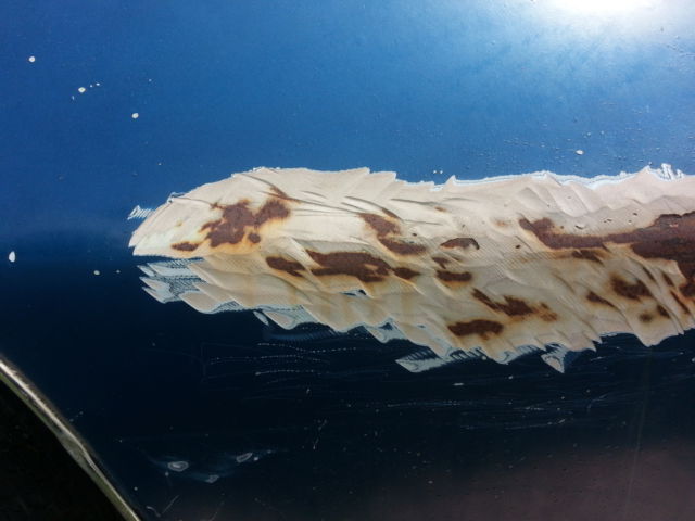 1974 Pontiac Firebird Esprit - photo 11