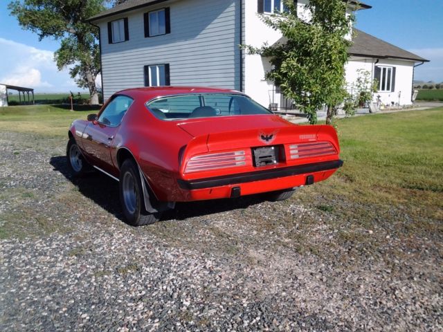 1974 Pontiac Firebird formula 350 - photo 4