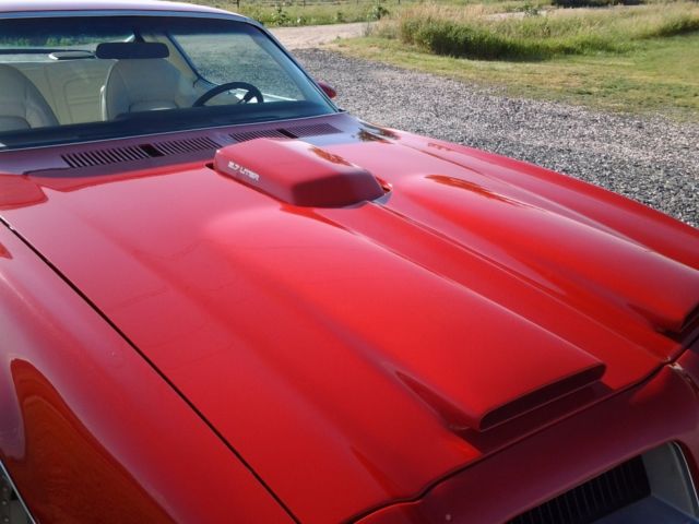 1974 Pontiac Firebird formula 350 - photo 7