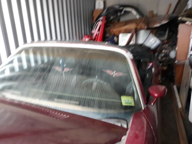 1975 Pontiac Firebird - photo 3