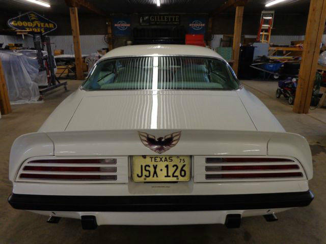1975 Pontiac Firebird FORMULA - photo 7