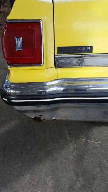 1975 Oldsmobile Eighty-Eight - photo 9