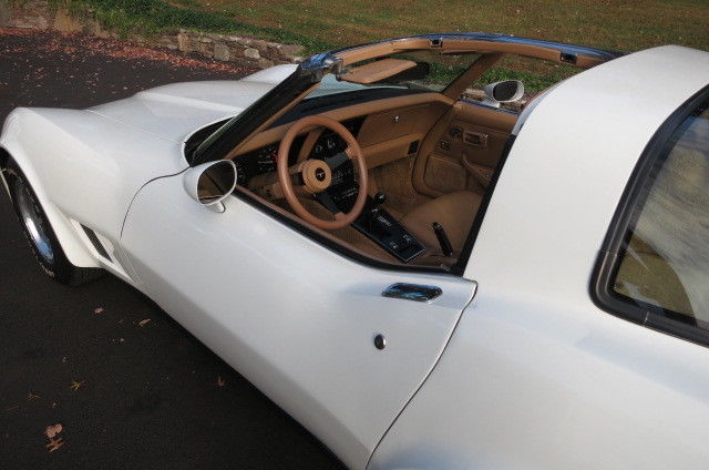 1981 Chevrolet Corvette - photo 10