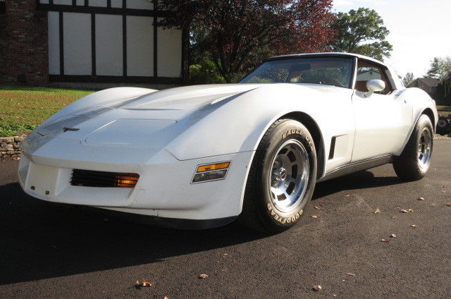 1981 Chevrolet Corvette - photo 12