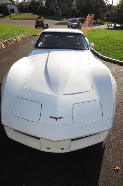 1981 Chevrolet Corvette - photo 3