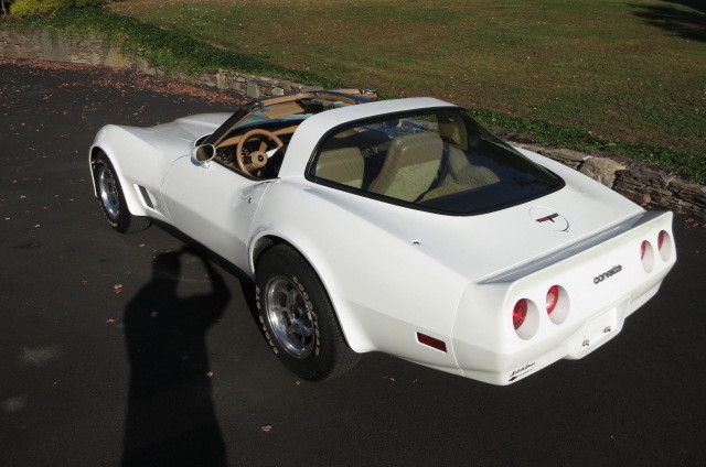 1981 Chevrolet Corvette - photo 4