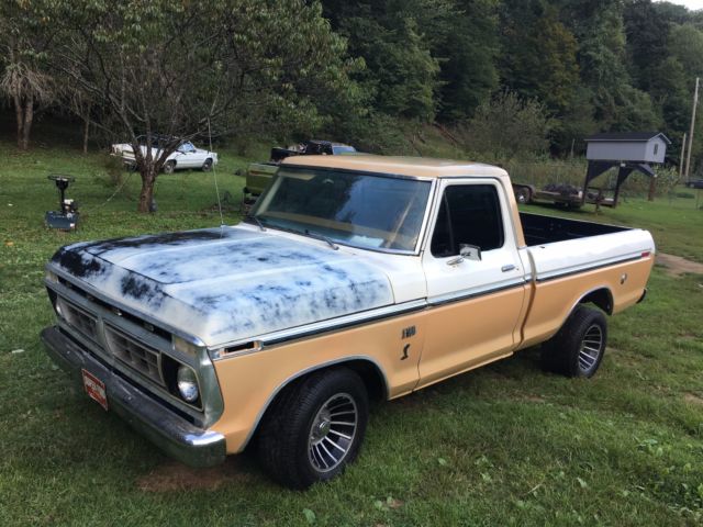 76 ford f-100 1976 Ford F-100