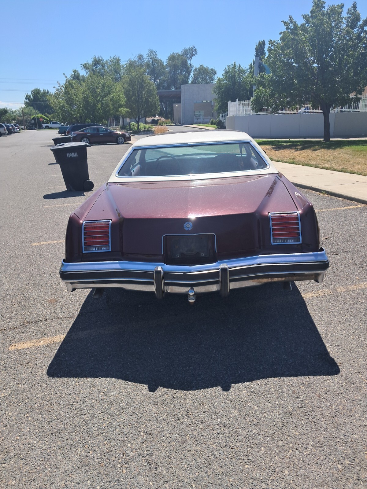 1976 Pontiac Grand Prix - photo 3