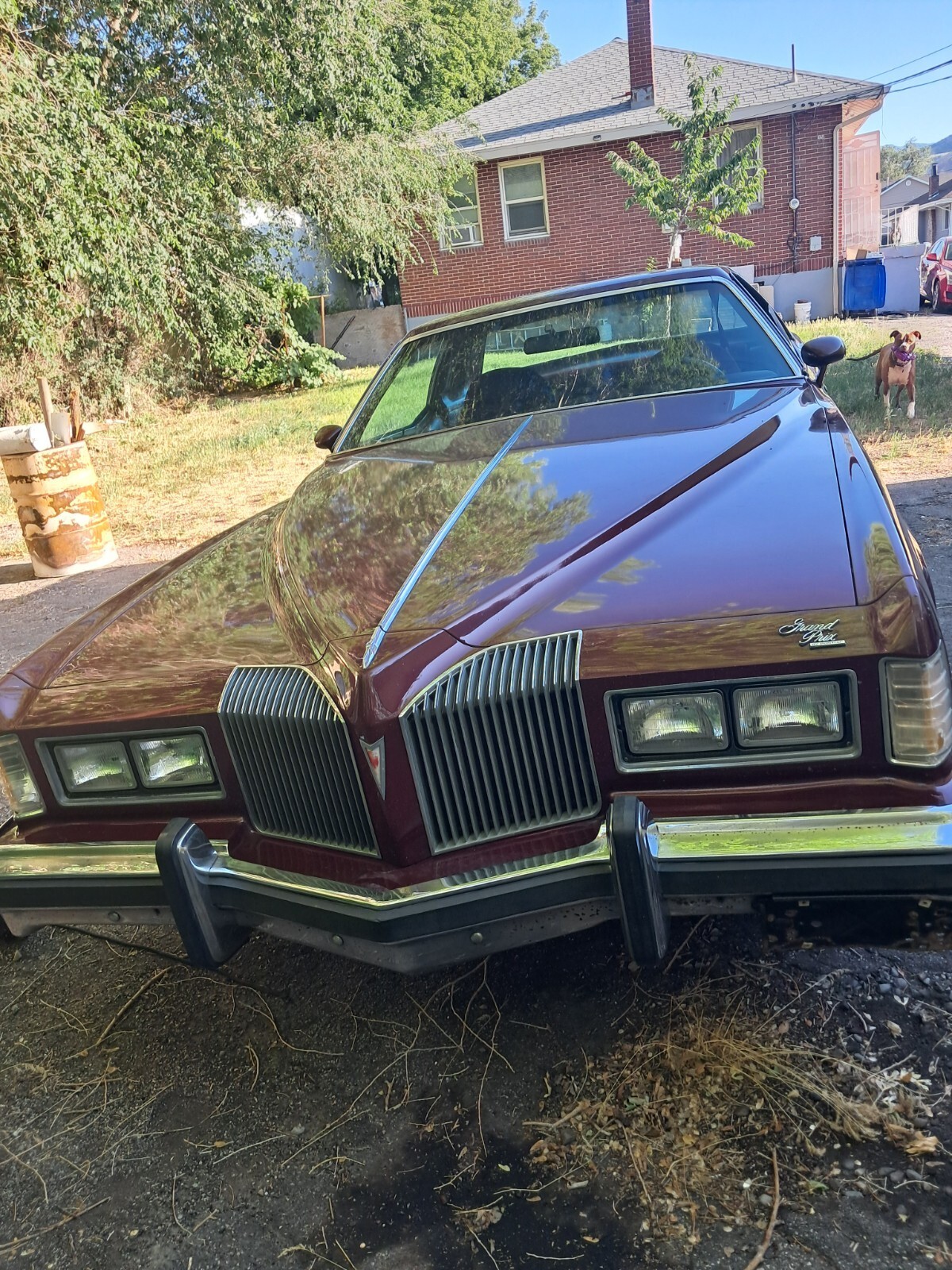 1976 Pontiac Grand Prix - photo 7