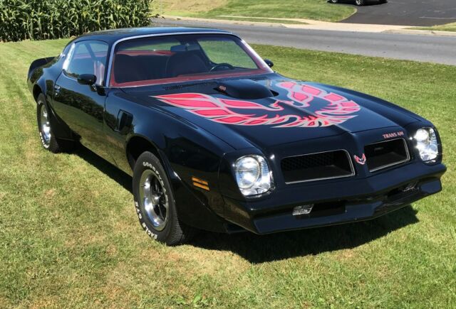 1976 Pontiac Trans Am - photo 4