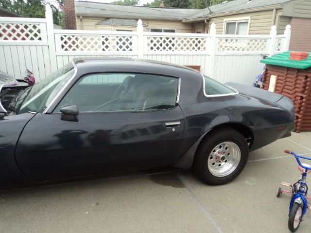 1976 Pontiac Trans Am - photo 11