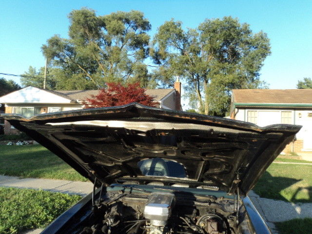 1976 Pontiac Trans Am - photo 10