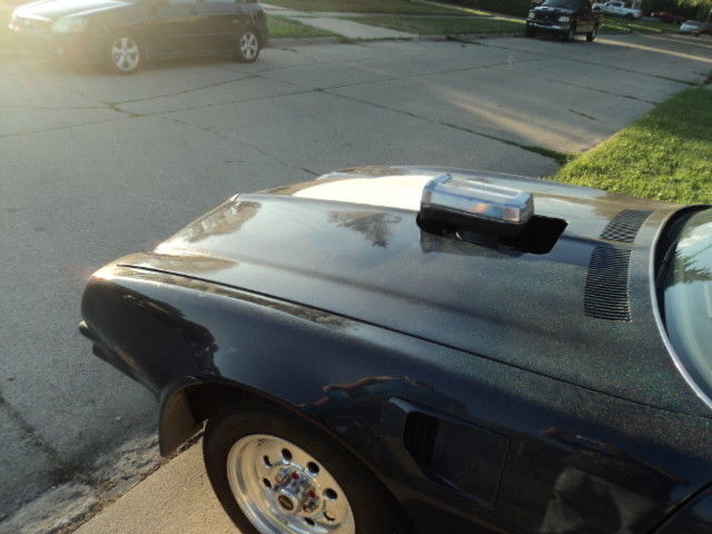 1976 Pontiac Trans Am - photo 5