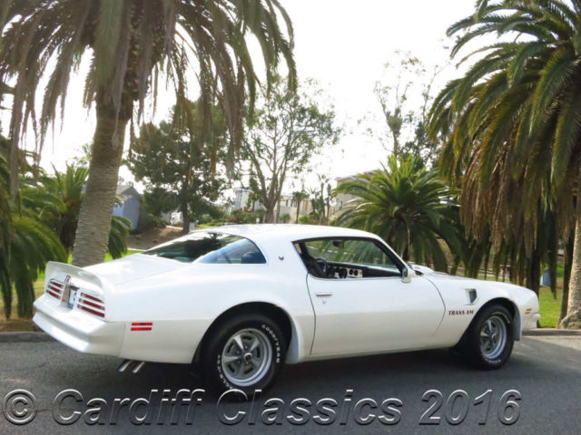 1976 Pontiac Trans Am - photo 10