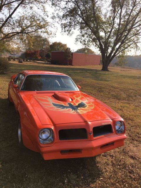1976 Pontiac Trans Am coupe - photo 2