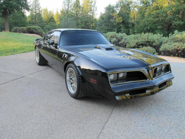 1977 Pontiac Trans Am DHC Black Out Edition Smokey and the Bandit! - photo 2