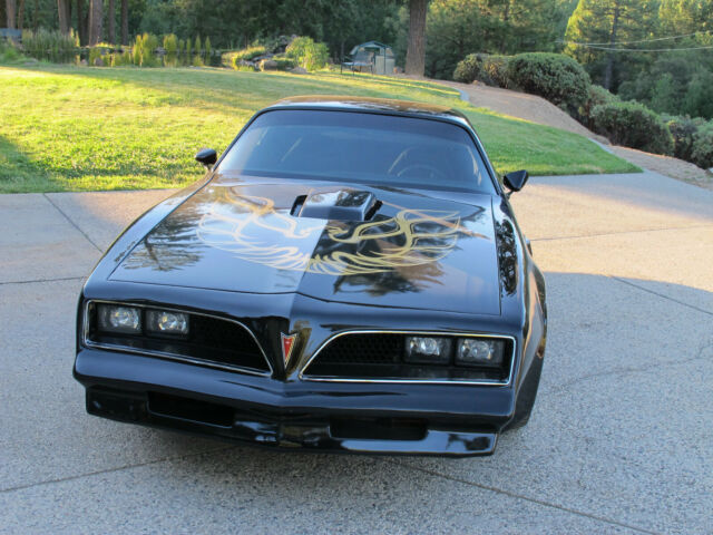 1977 Pontiac Trans Am DHC Black Out Edition Smokey and the Bandit! - photo 5