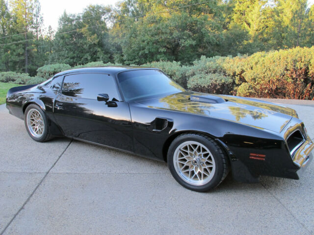 1977 Pontiac Trans Am DHC Black Out Edition Smokey and the Bandit! - photo 6