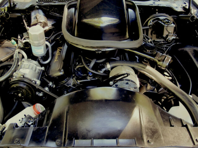 1977 Pontiac Trans Am DHC Black Out Edition Smokey and the Bandit! - photo 8