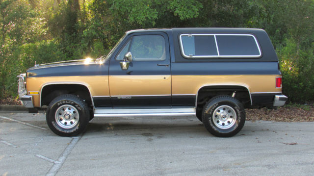 1989 Chevrolet Blazer K5 BLAZER SILVERADO 4X4 - photo 6