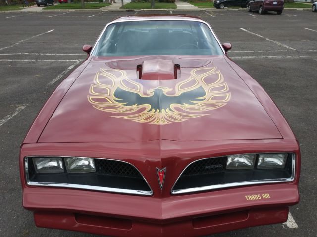 1978 Pontiac Firebird TRANS AM - photo 10