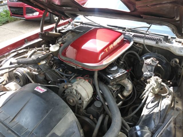 1978 Pontiac Firebird TRANS AM - photo 11