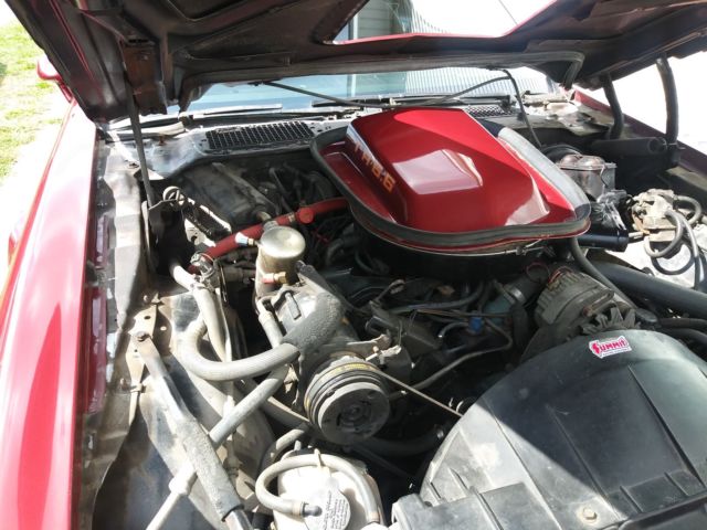 1978 Pontiac Firebird TRANS AM - photo 12