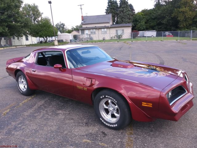 1978 Pontiac Firebird TRANS AM - photo 4