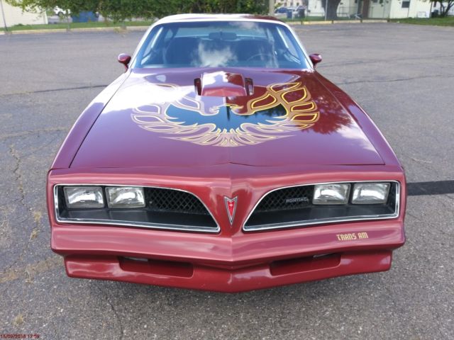1978 Pontiac Firebird TRANS AM - photo 5
