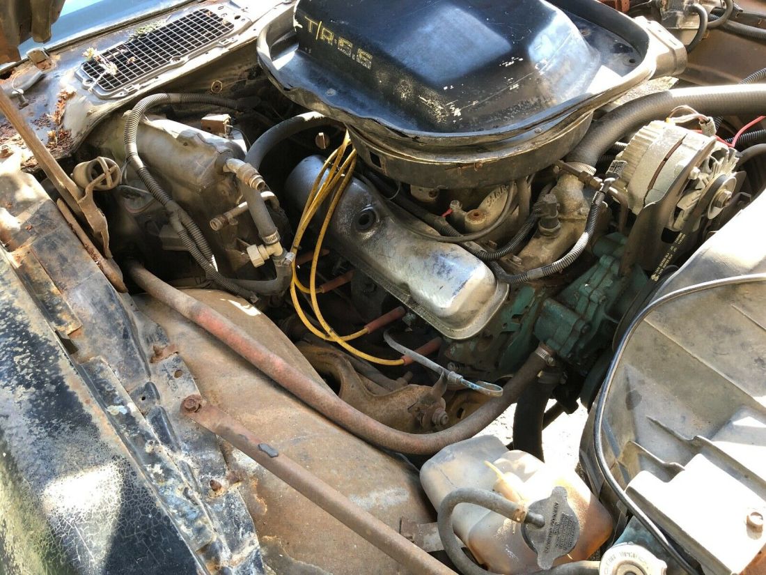 1978 Pontiac Trans Am - photo 11