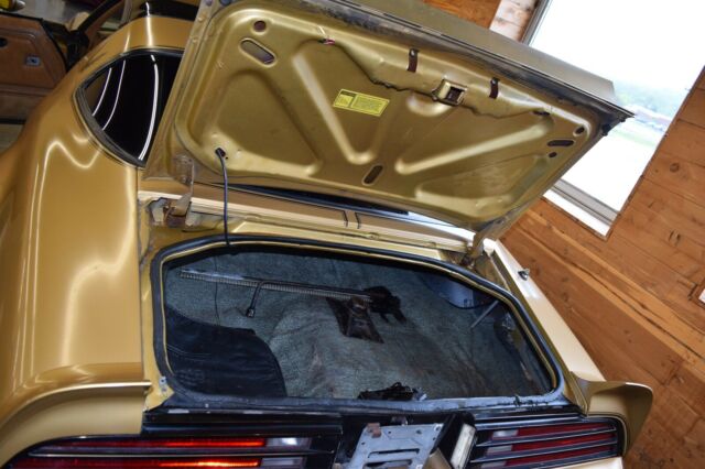 1978 Pontiac Trans Am - photo 7